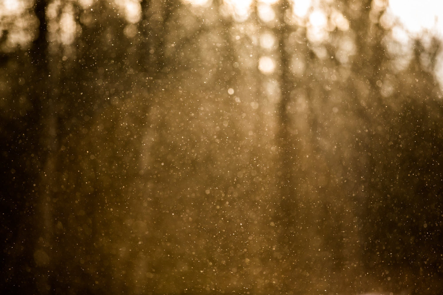 Spirituality T.L. Amber